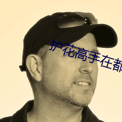 護花高手在都市