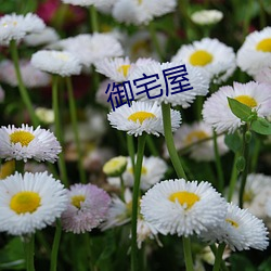 御宅屋