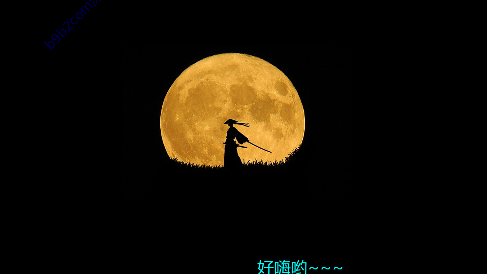 b9b2com深夜福科a8a